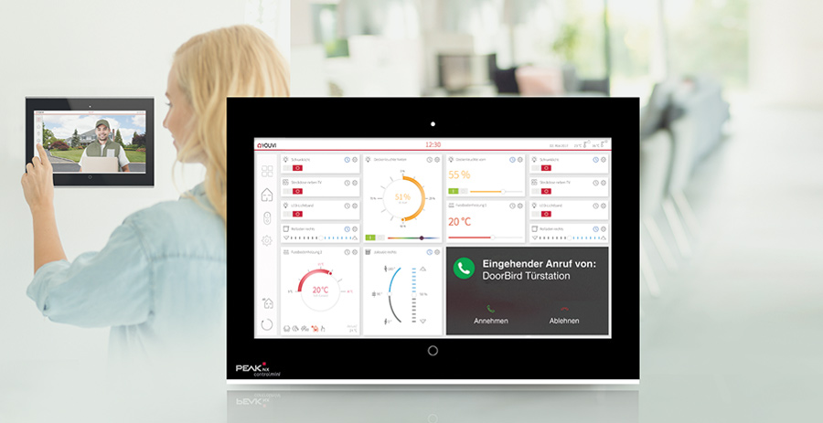 PEAKnx und DoorBird kooperieren: Smarte Steuerung der Haustür 