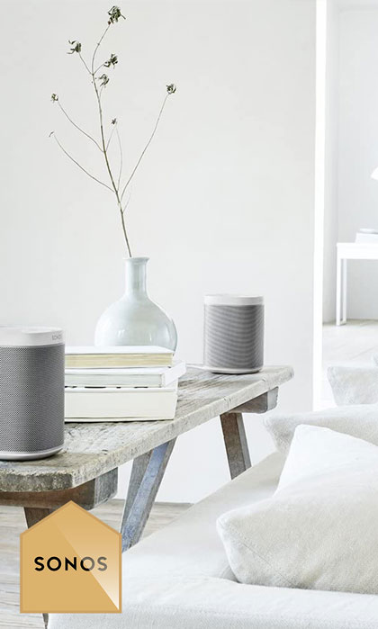 Sonos Bridge